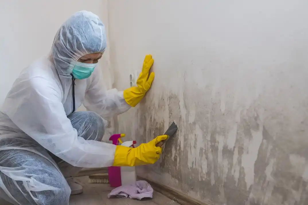 water damage restoration service Coliseum-Willow Park